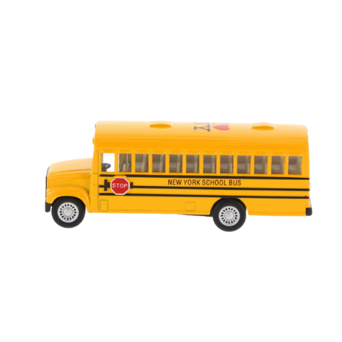 ILNY School Bus