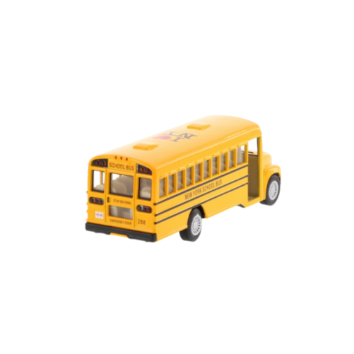 ILNY School Bus